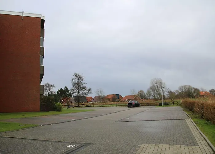 Schwarz * 多纳莫塞尔